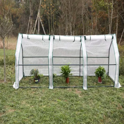 Mini Greenhouse