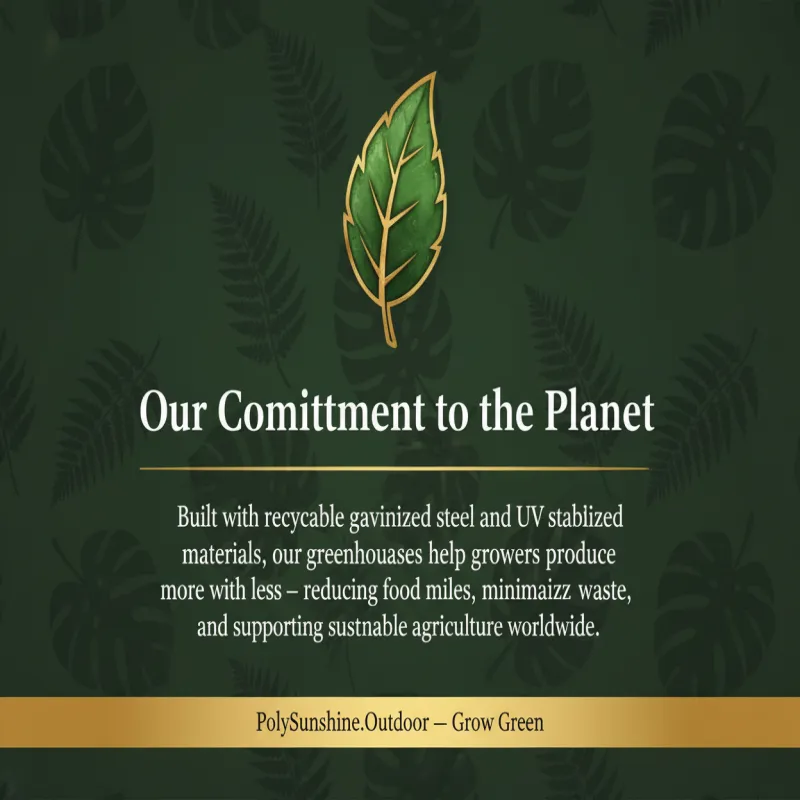 Our Comittment to the Planet