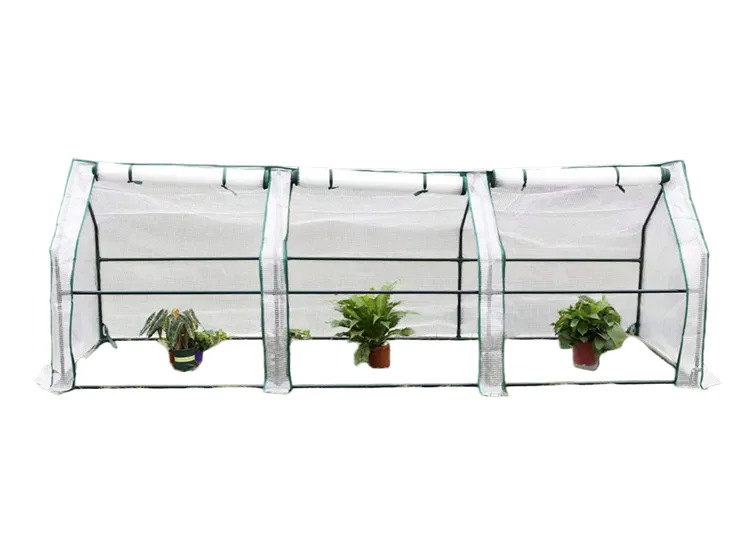 mini greenhouse