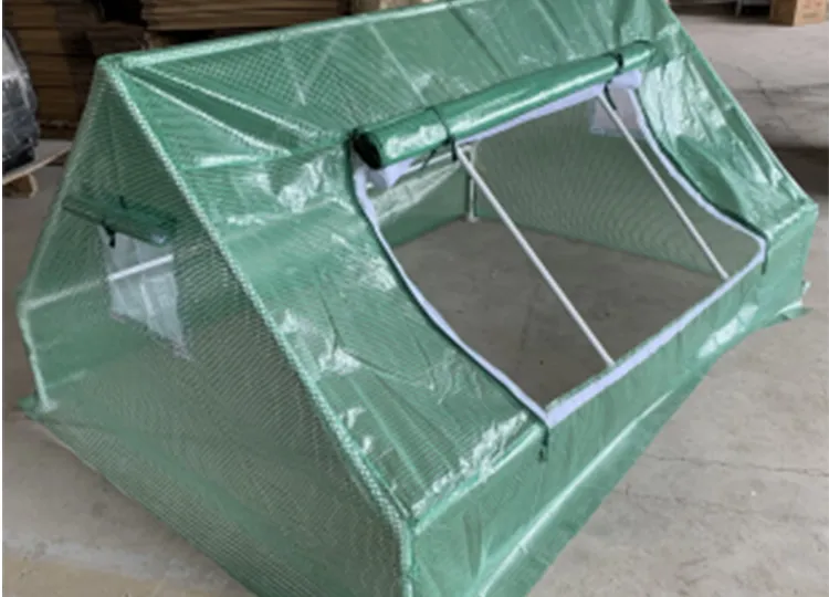 mini greenhouse