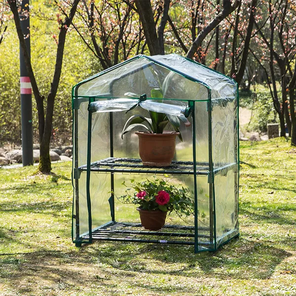 mini greenhouse