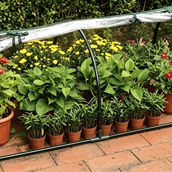 mini greenhouse