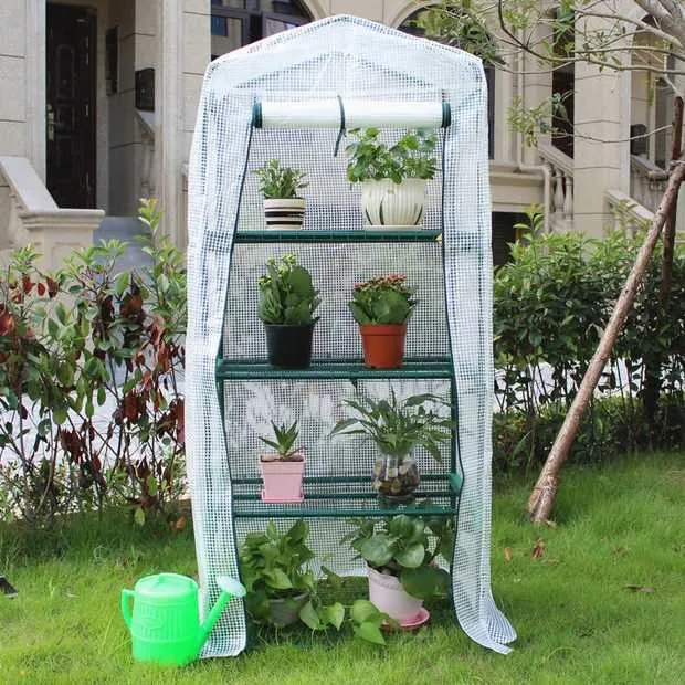 mini greenhouse
