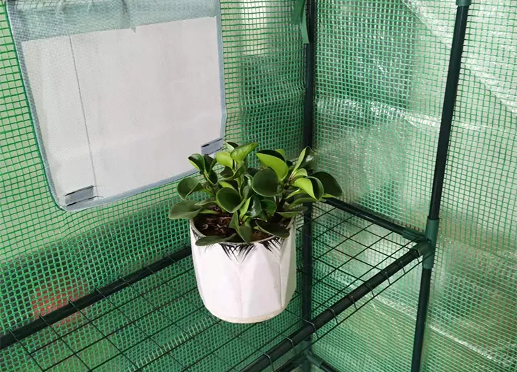 walk in garden greenhouse