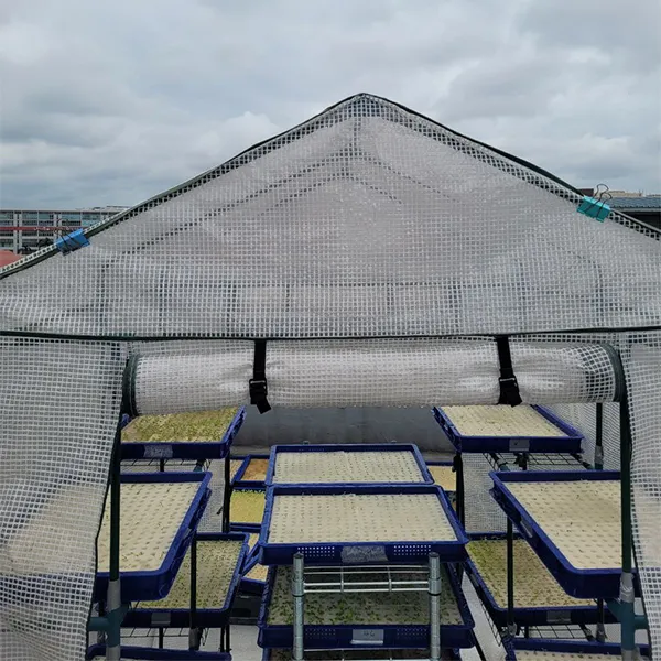 walk in garden greenhouse