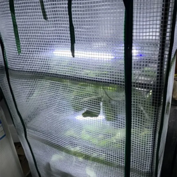 walk in garden greenhouse