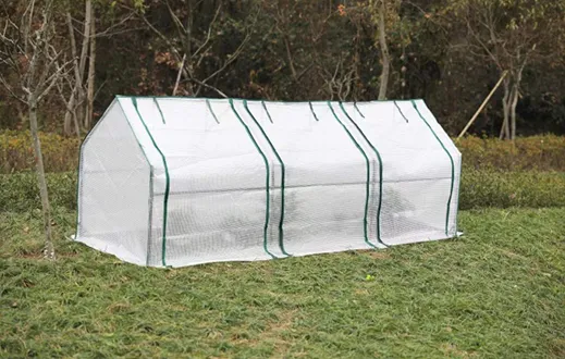 Mini Greenhouse