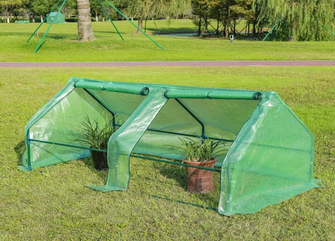 Mini Greenhouse