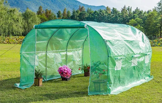 Tunnel Greenhouse