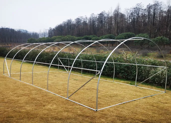 Tunnel Greenhouses